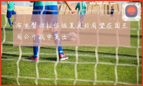 布克臀部拉伤恢复良好有望在国王或公牛战中复出