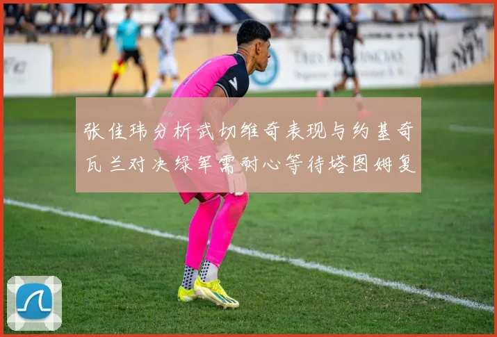 张佳玮分析武切维奇表现与约基奇瓦兰对决绿军需耐心等待塔图姆复出