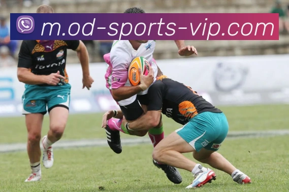 OD体育服务体系